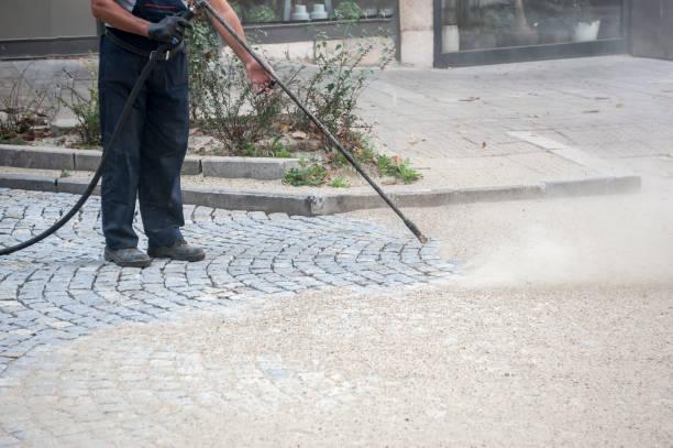 Best Roof Washing  in Whitesboro, NY